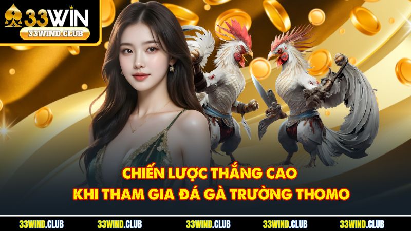 Chiến lược thắng cao khi tham gia đá gà trường Thomo