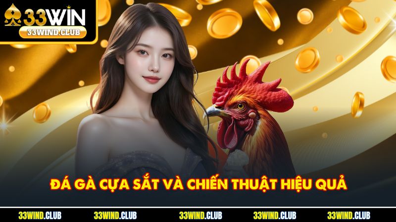 Đá Gà Cựa Sắt Và Chiến Thuật Hiệu Quả