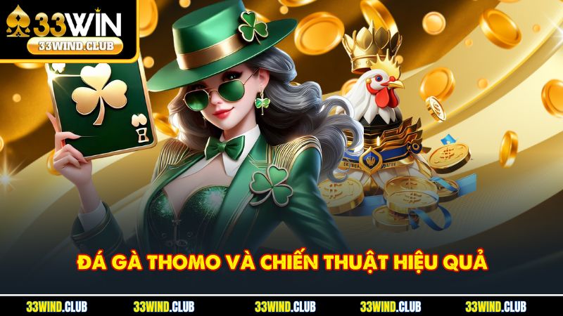 Bí Quyết Chơi Đá Gà Thomo Hiệu Quả Giúp Thắng Cược