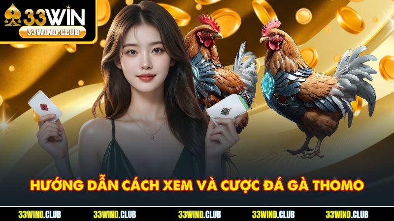 Hướng dẫn cách xem và cược đá gà Thomo