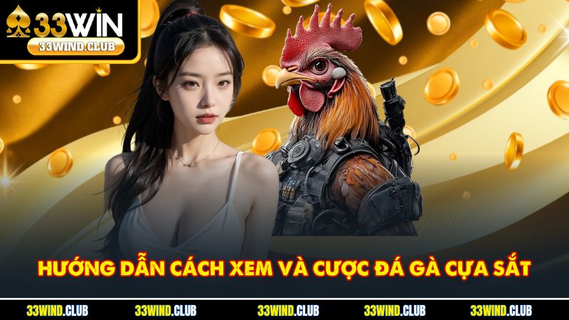 Hướng dẫn cách xem và cược đá gà cựa sắt