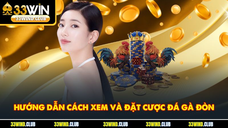 Hướng dẫn cách xem và đặt cược đá gà đòn