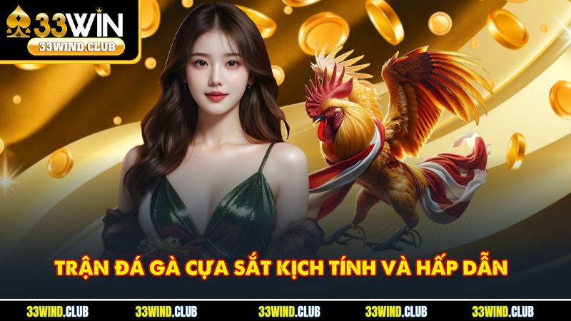 Những Màn So Tài Đá Gà Cựa Sắt Gay Cấn Khiến Người Xem Mãn Nhãn