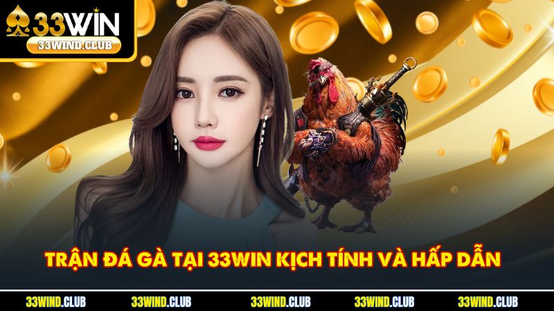 Trận đá gà tại 33win kịch tính và hấp dẫn